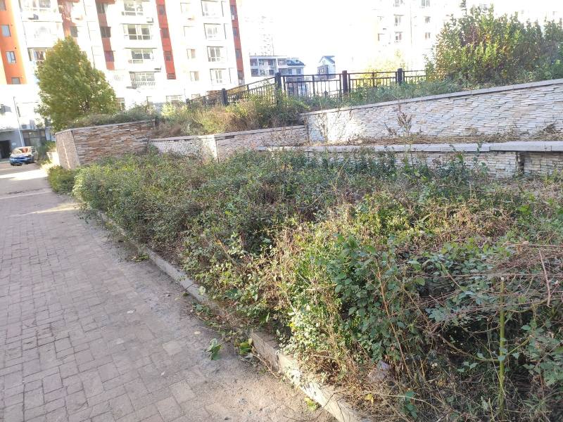 悦鑫国际园区图片