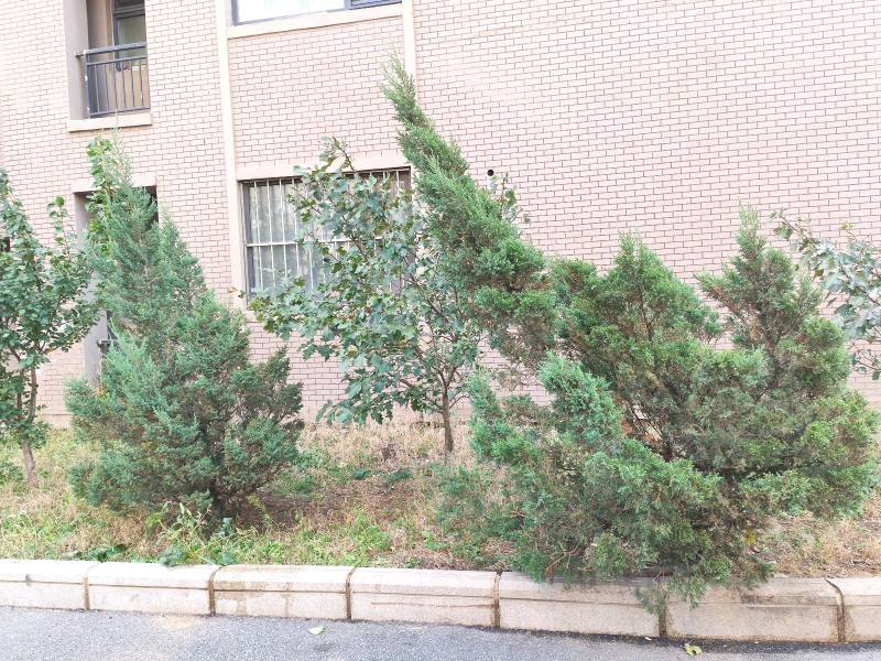 中海城星座园区图片