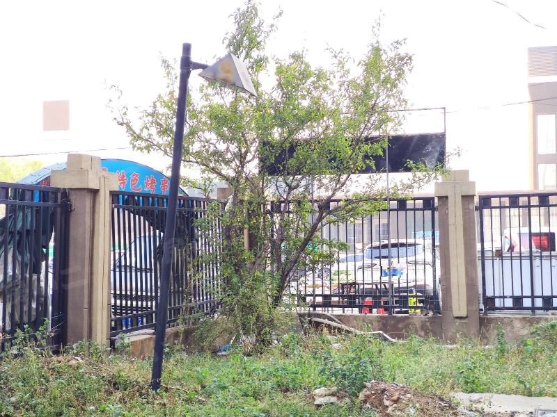 中海城星座园区图片