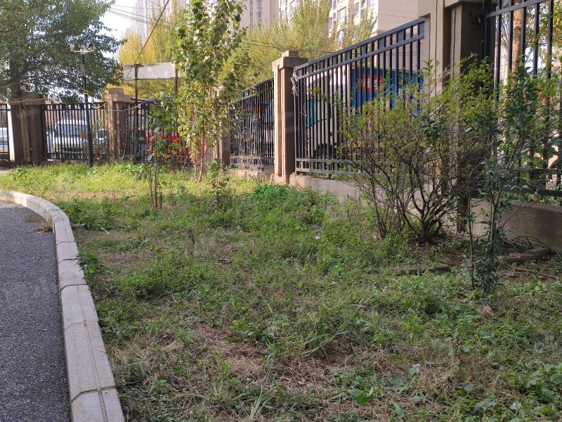 中海城星座园区图片