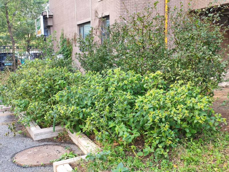 中海城星座园区图片