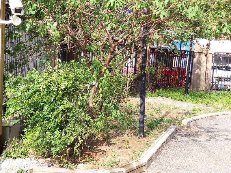 中海城星座园区图片