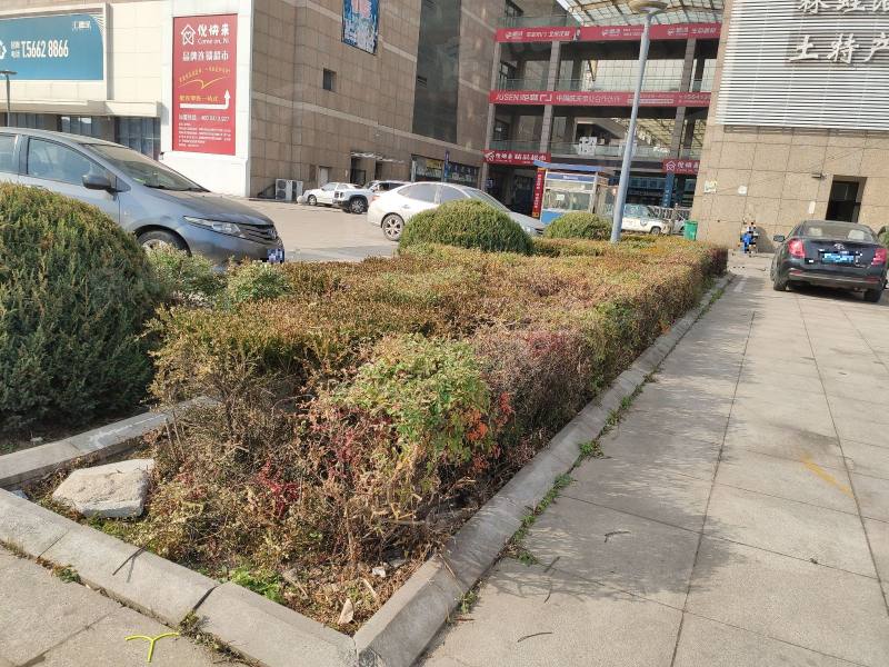 汇置亿丰中心园区图片