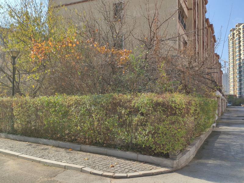 锦绣澜湾B区园区图片