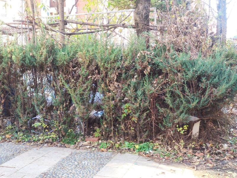 绿地剑桥园区图片