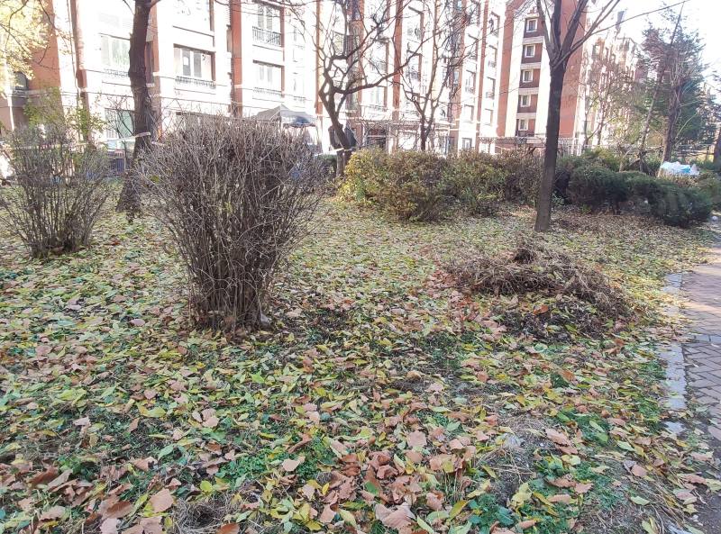 绿地剑桥园区图片