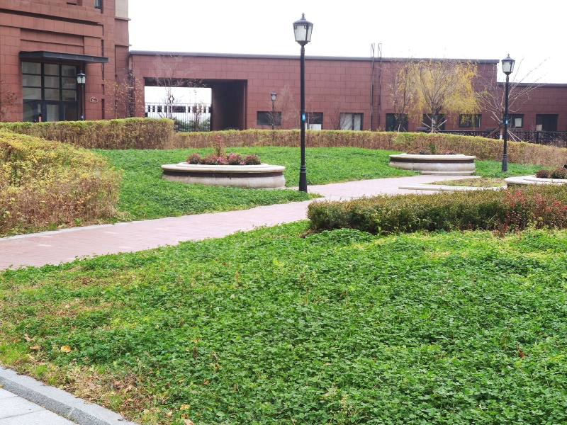 浑河城园区图片