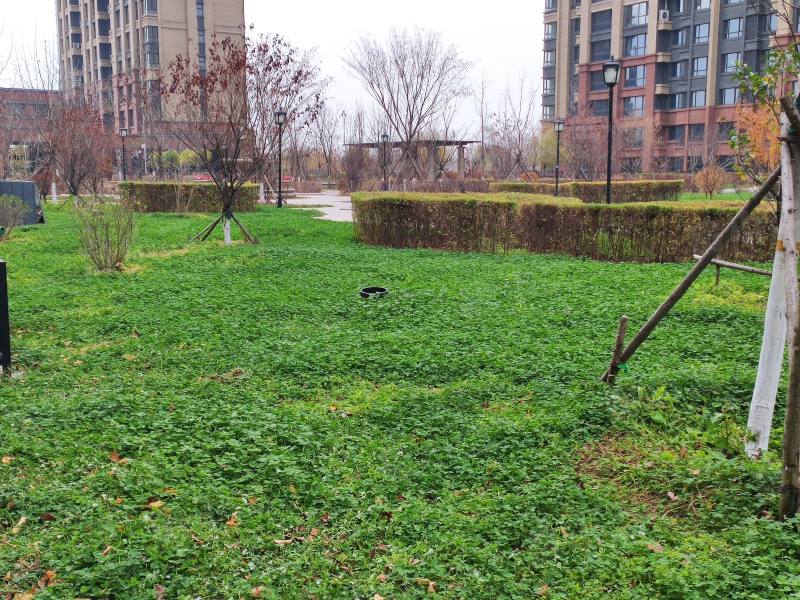 浑河城园区图片