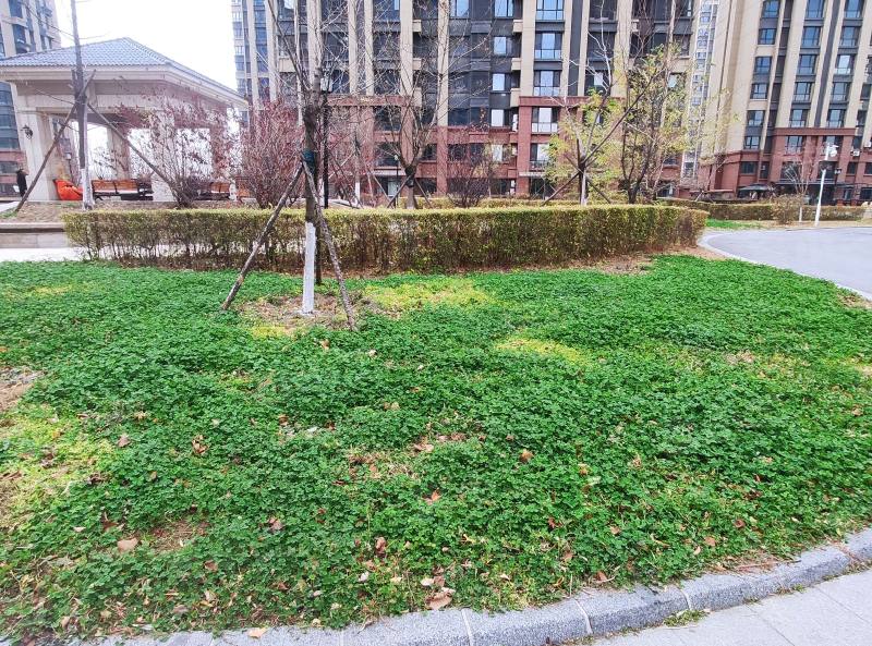 浑河城园区图片