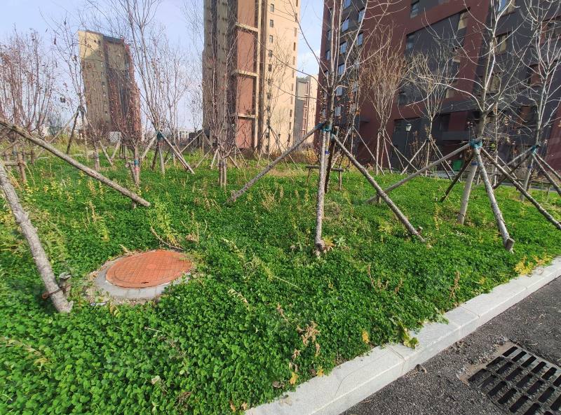 博圣御府龙湾园区图片