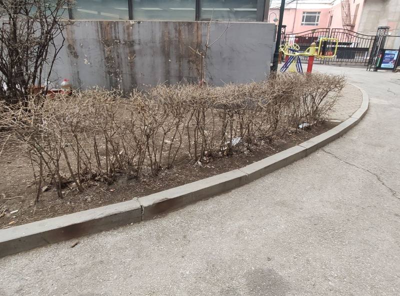 龙江家园园区图片