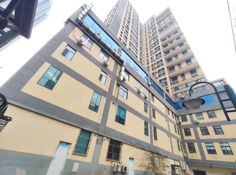 龙江家园园区图片