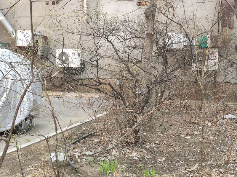 含笑小区园区图片