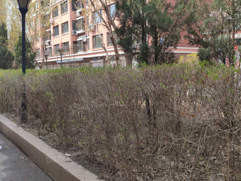 永利嘉院园区图片