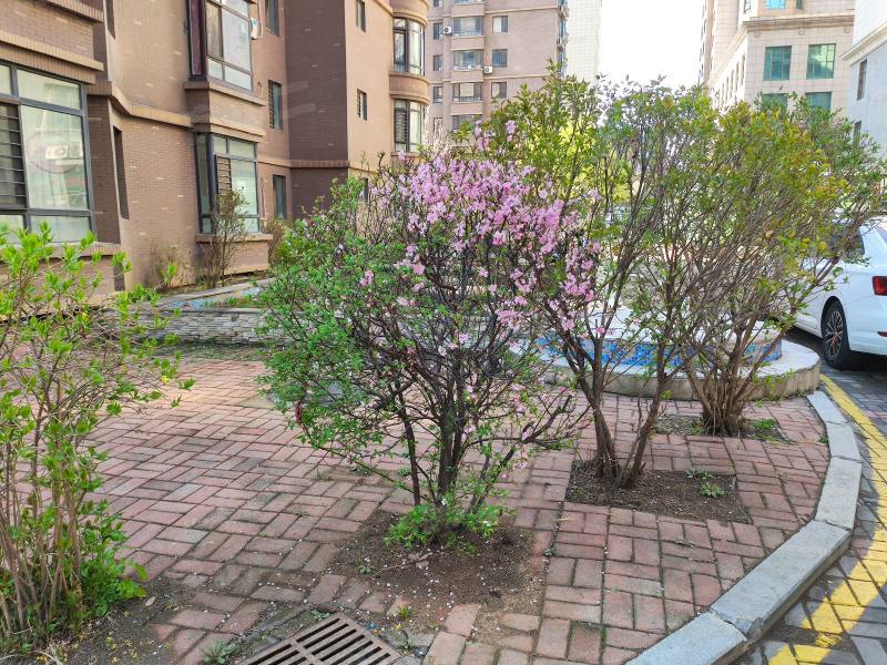 黎明国际广场园区图片