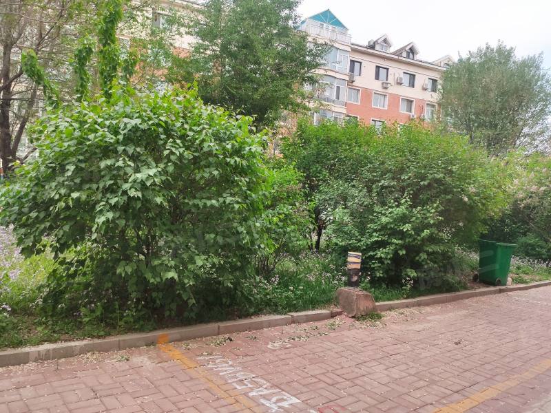 长城金色家园园区图片