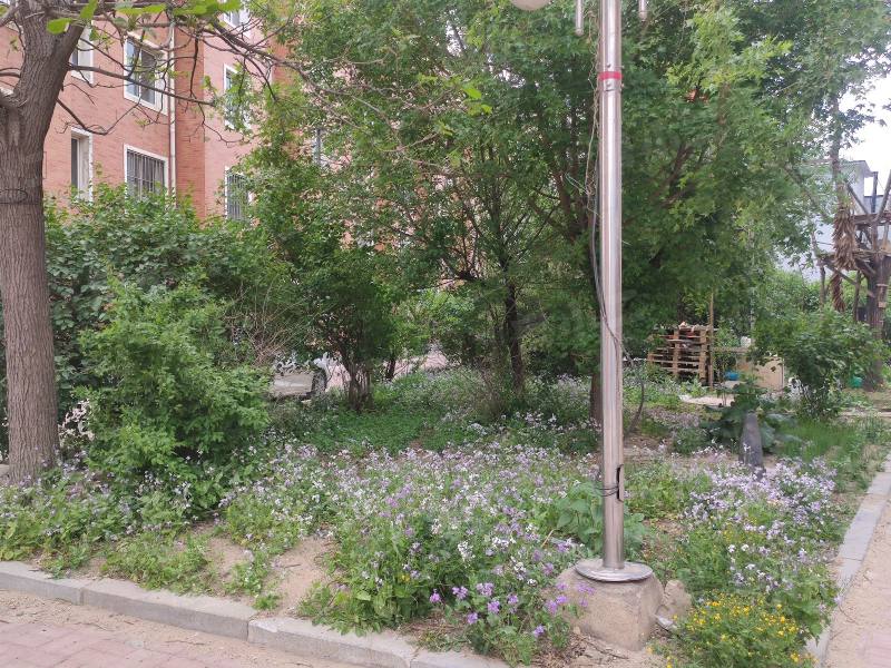 长城金色家园园区图片