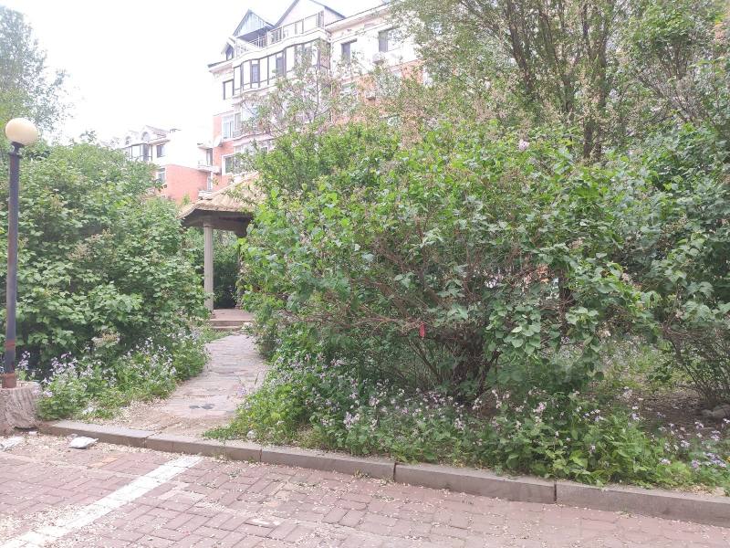 长城金色家园园区图片