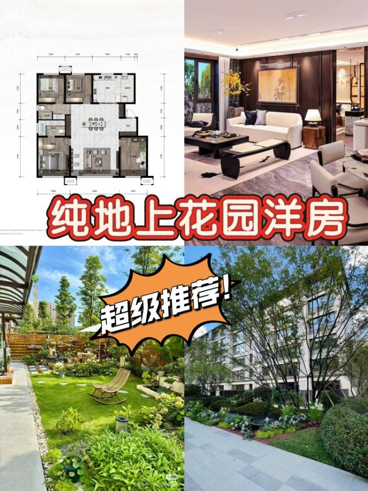 楼盘动态图片 1