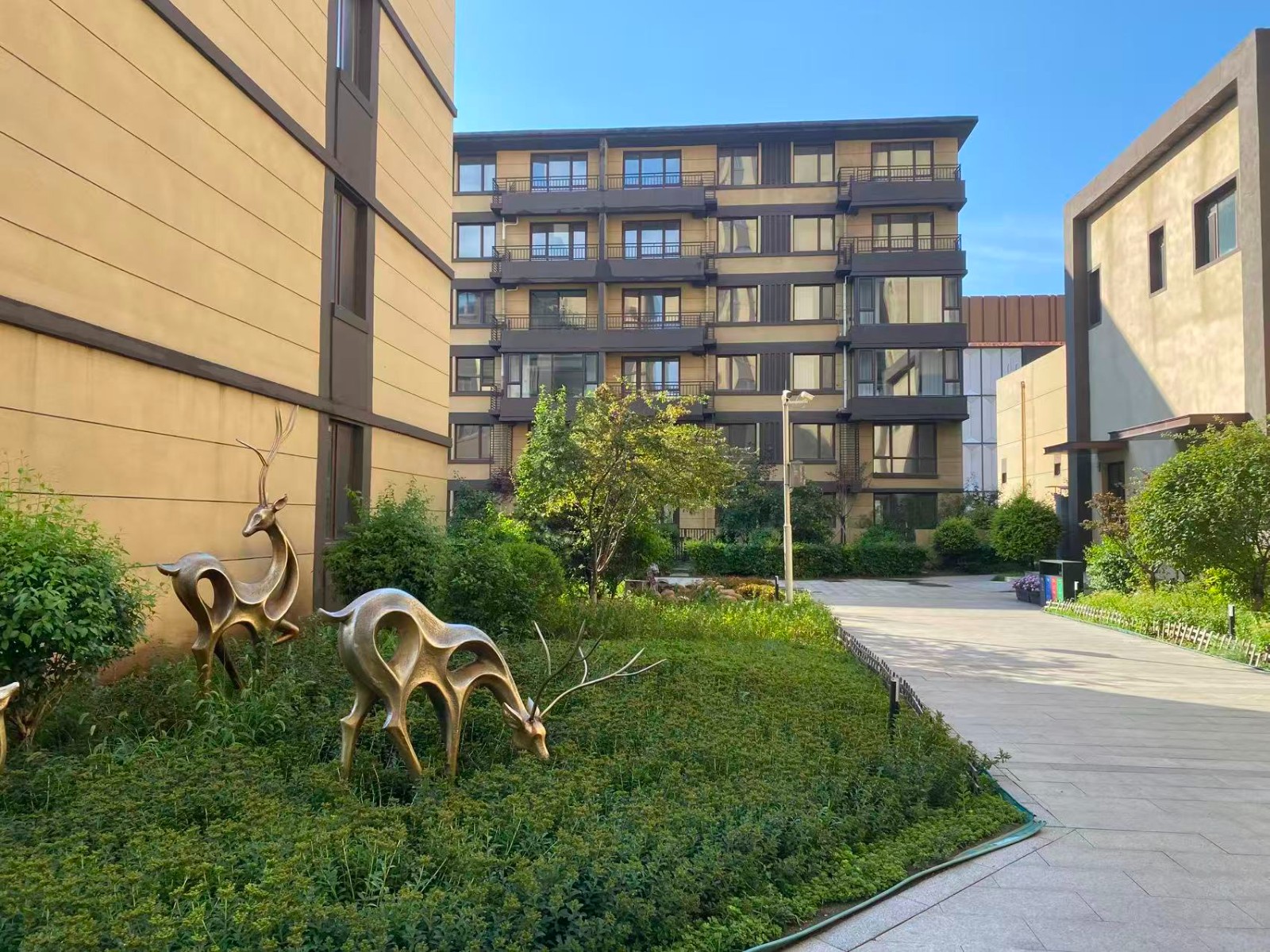 楼盘动态图片 1