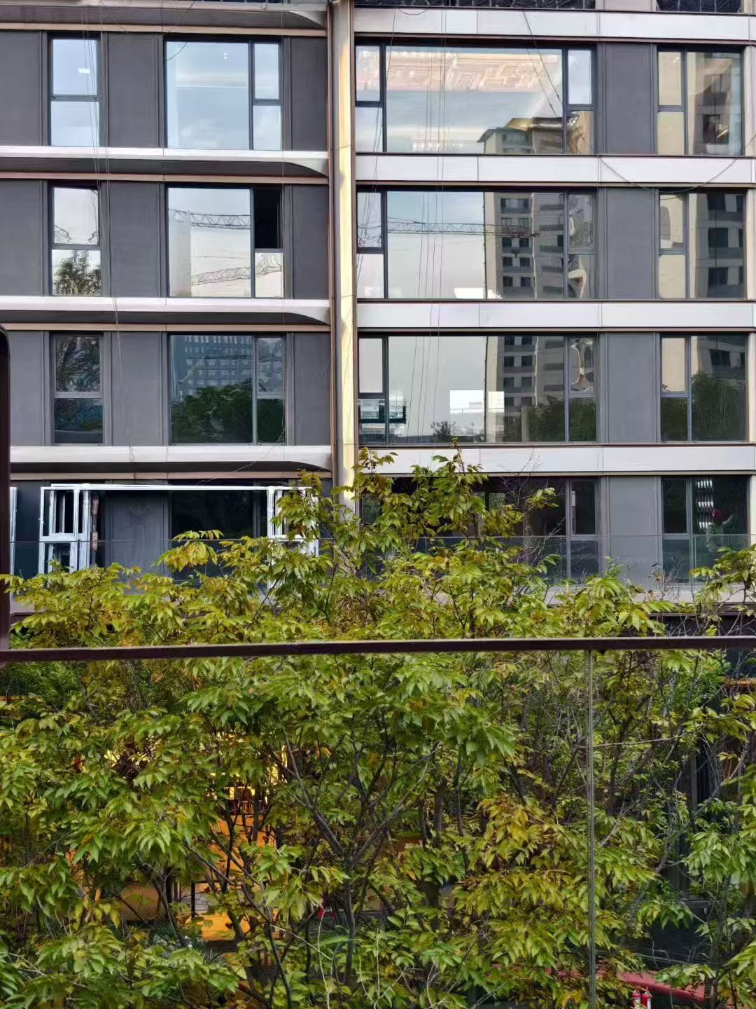 楼盘动态图片 3