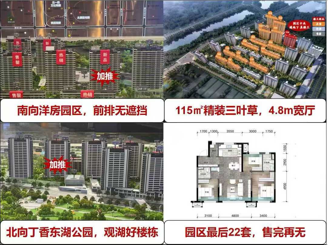 楼盘动态图片 1