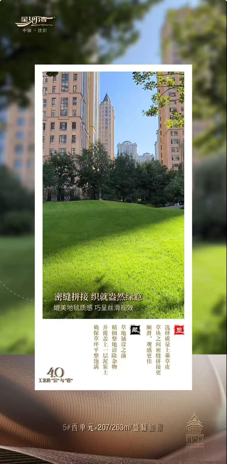 楼盘动态图片 1