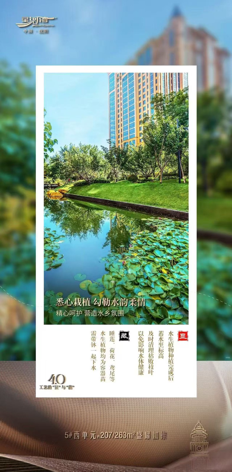 楼盘动态图片 1