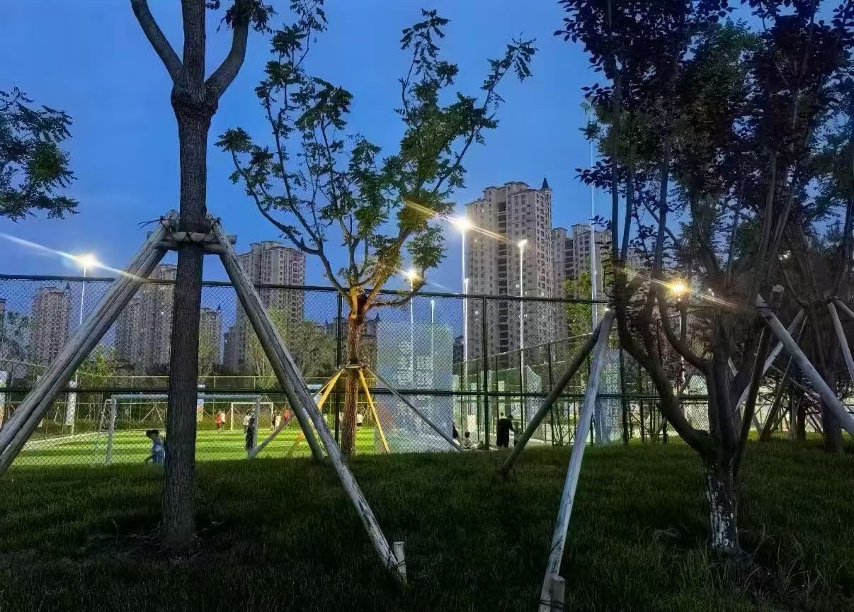 楼盘动态图片 2