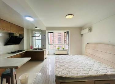 金地滨河国际 1室 1厅 1卫 50㎡