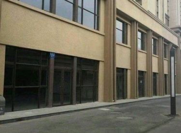 (出售) 沈北新区 雅居乐花园大学门口商铺 道义大街