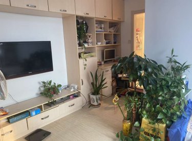 开发大道地铁 电梯一室一厅 精装拎包入住有钥匙随时看房
