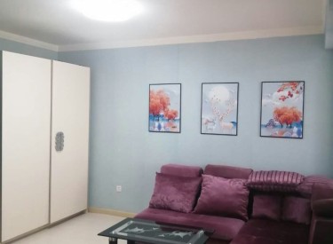 勋望小学 清乐中学 临街地铁 交通便利 拎包即住澳海西湖印象