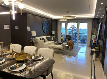 和平曹仲 万科精装河景房 近地铁 双學区 领事馆路 智能园区