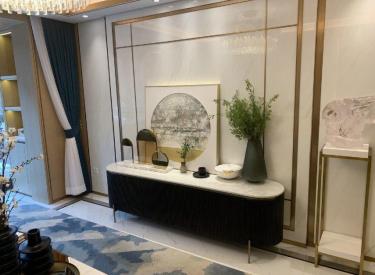 新湖仙林金谷 生态河景房 双壆区 特价6开头 上市开发商