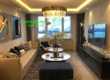 低首付精装!单价7000!新湖仙林金谷!双,品牌物业!