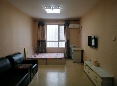 勋望小学 清乐中学 临街地铁 交通便利 拎包即住澳海西湖印象