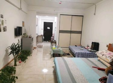 首创自在天地 1室 1厅 1卫 55㎡