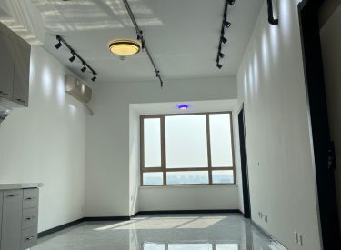 东中街地铁口 南华中环广场 精装修两室 可居住可办公