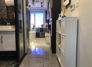皇姑重点珠五43总校岐山书院精装修交通便利黄河大街地铁旁