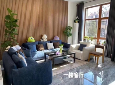 上置香岛原墅 北入户南花园 超大赠送实得480平