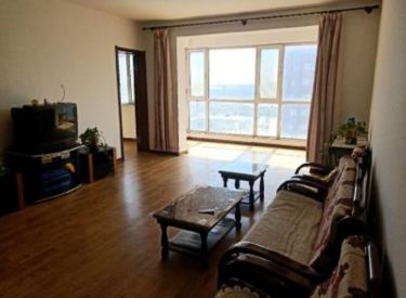 浑南长青 浑南实验小学 地铁口9，10号线 正大大桃花源