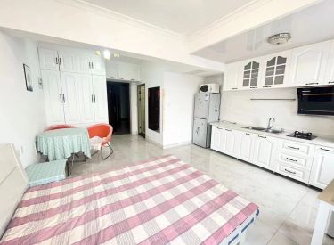 沈阳站 地铁房 全屋地砖 民水民电 民宅