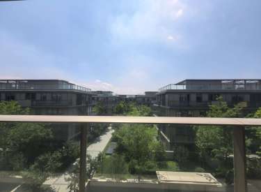 新市府板块清水上叠215平398万