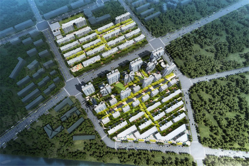 中海汇德理