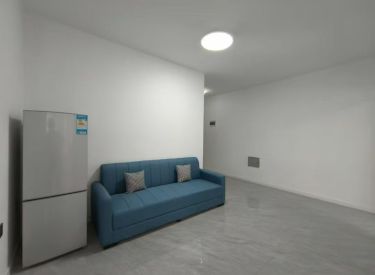 观泉佳园 1室1厅1卫 清水