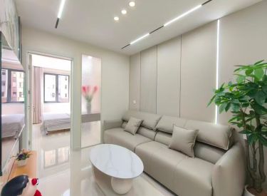 绒线小区 1室1厅1卫 简装 