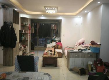天洁华尔街广场 2室2厅1卫 精装