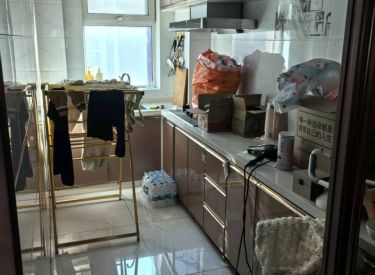 天洁华尔街广场 1室1厅1卫 精装