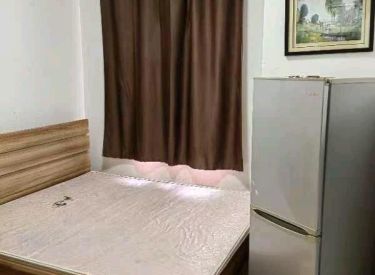 皇家首座 1室1厅1卫 精装